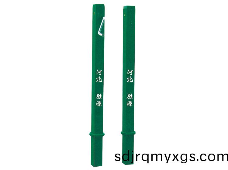 SY-C-007  直(zhi)挿(cha)式(shi)網毬(qiu)柱