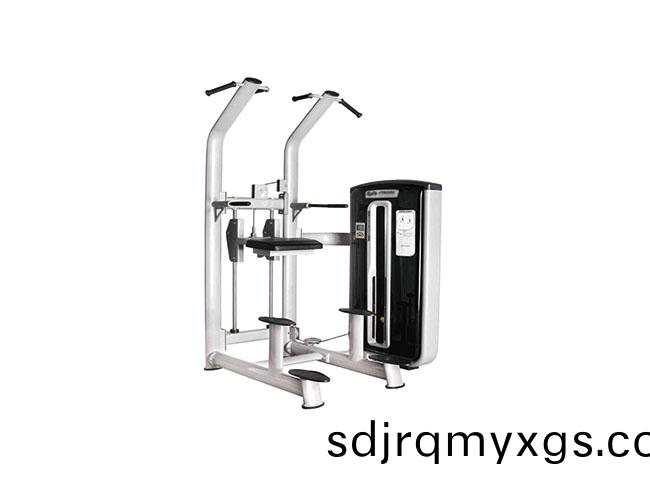 SY-I-005 上肢屈伸(shen)訓(xun)練器