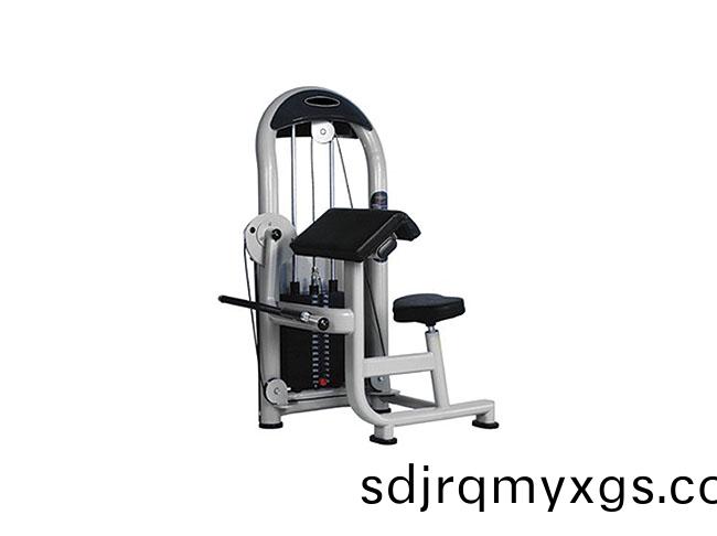 SY-I-013 二(er)頭肌訓(xun)練器(qi)