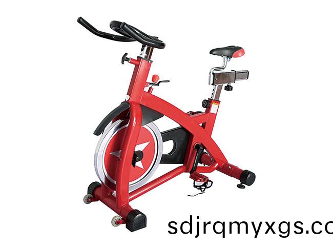 SY-I-028 豪華(hua)動感(gan)單(dan)車(che)