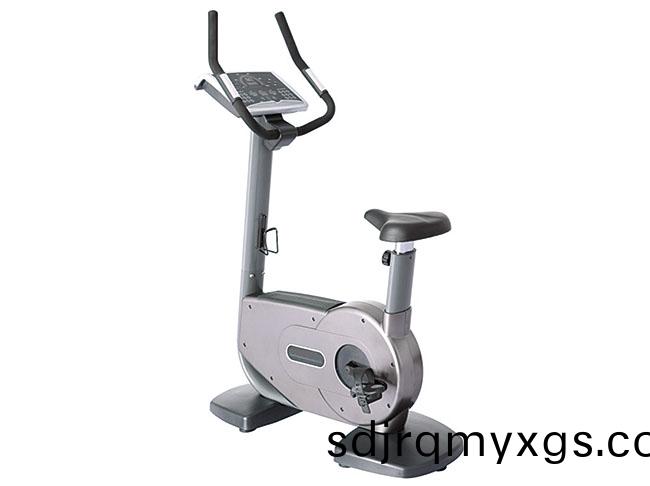 SY-I-030 立(li)式健身(shen)車