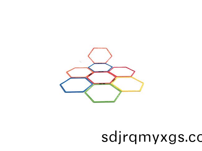 SY-N-003 八角(jiao)體能環(huan)