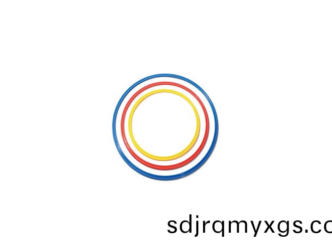 SY-N-004 體能(neng)環